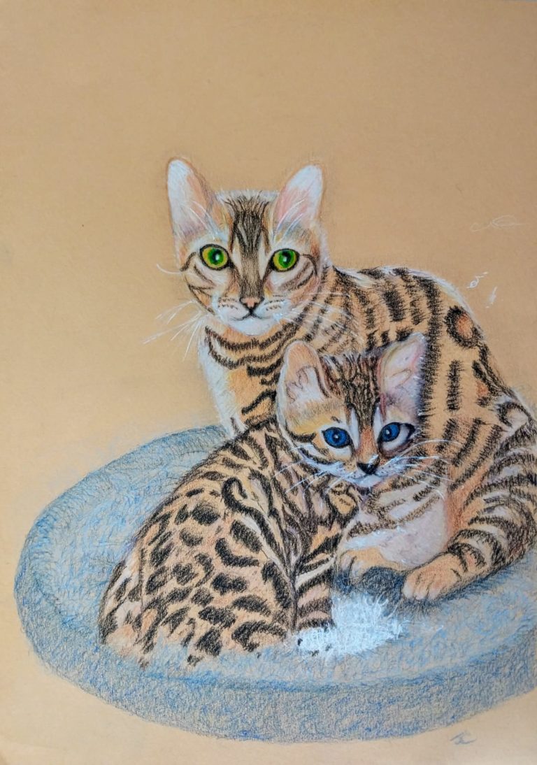 Foundation course - oil pastels - kittens